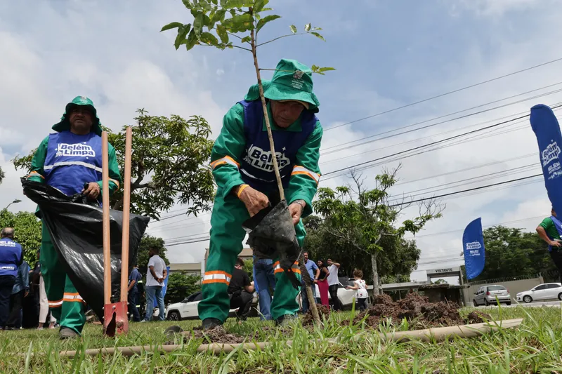 Prefeitura de Belém lança projeto Cidade Verde