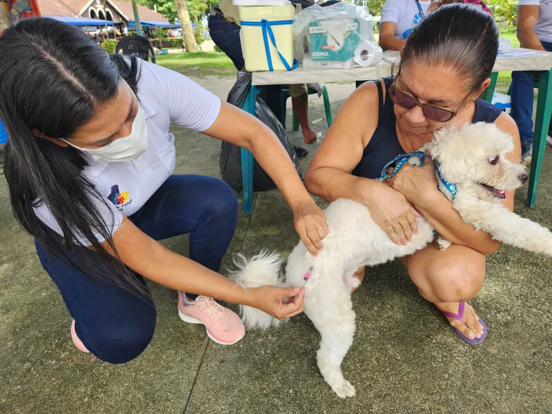 Prefeitura pretende formar protetores de animais para fortalecer a rede de apoio à causa em Belém. 