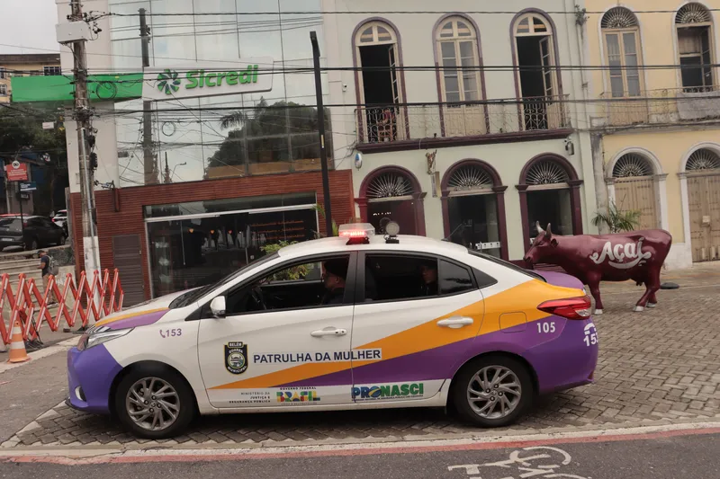 Patrulha da Mulher