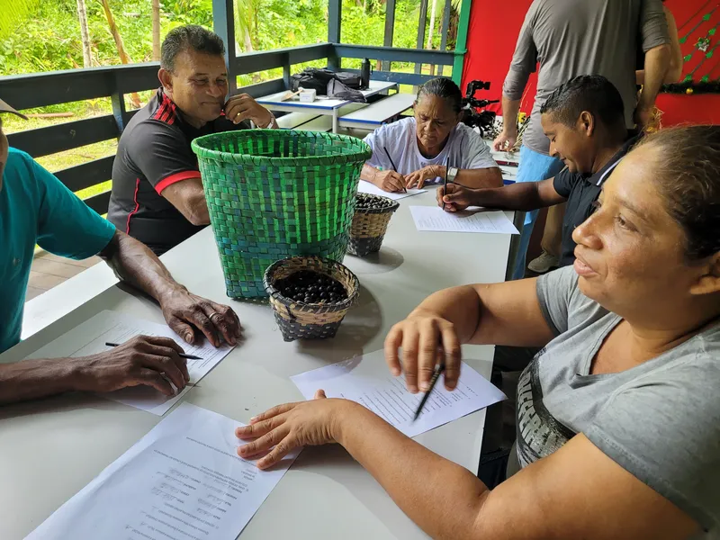 A escola alfabetiza utilizando utilizando letras como A de açaí, P de paneiro, e R de rasa, produtos do cotidiano dos ribeirinhos  