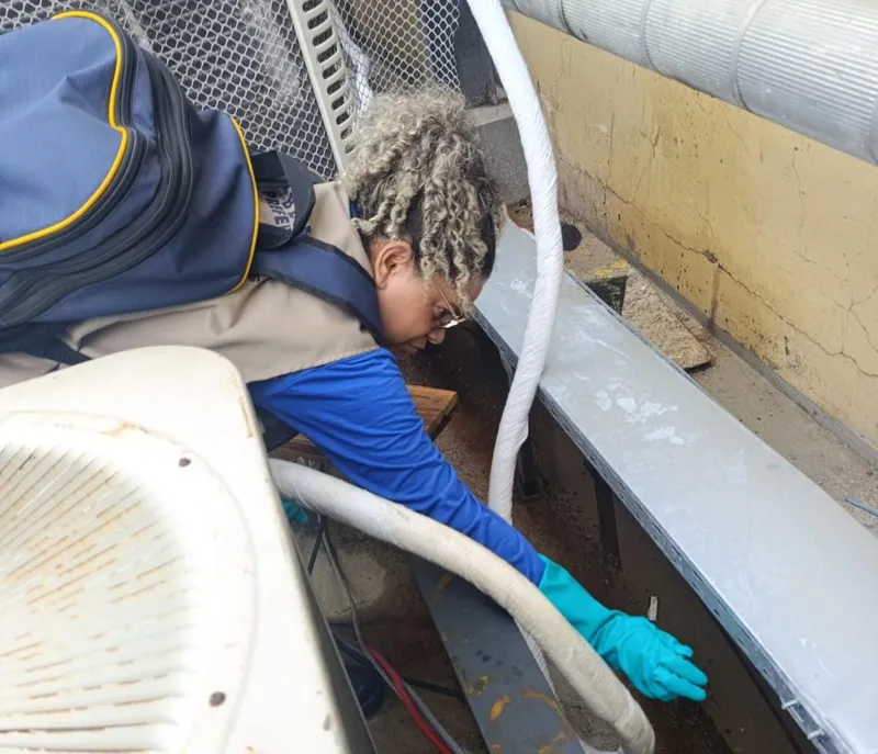Durante a ação, os agentes de endemias vão verificar a situação de imóveis e realizar ações de controle e prevenção, a fim de minimizar os impactos das doenças transmitidas pelo mosquito.