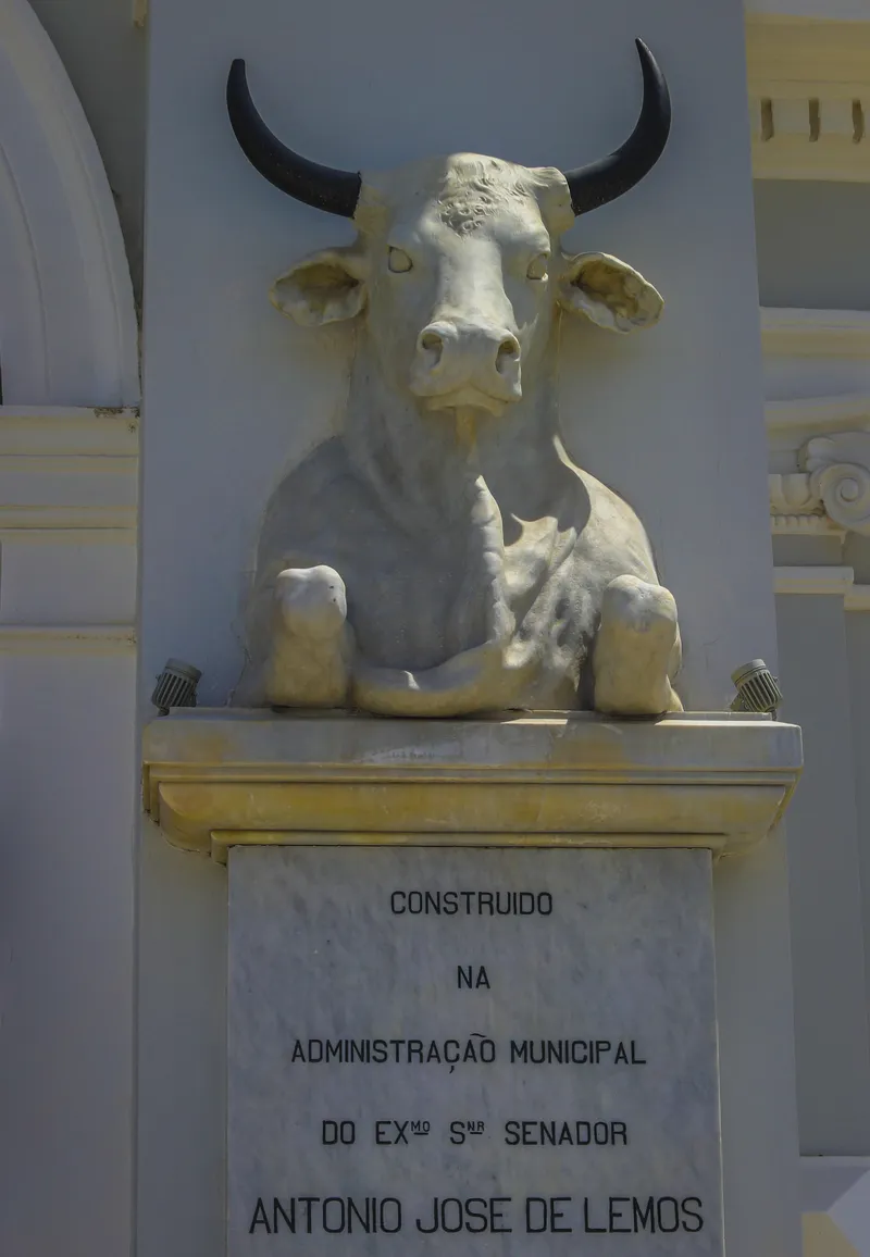 O novo mercado mantém o estilo neoclássico do arquiteto italiano Filinto Santoro, incluindo detalhes como  as cabeças de boi que sinalizavam o comércio e a venda de carne no local.