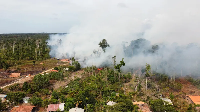 Os focos de incêndio atingem as comunidades Nova Esperança, 19 de abril e Vitória, que ficam às margens da PA-391. 