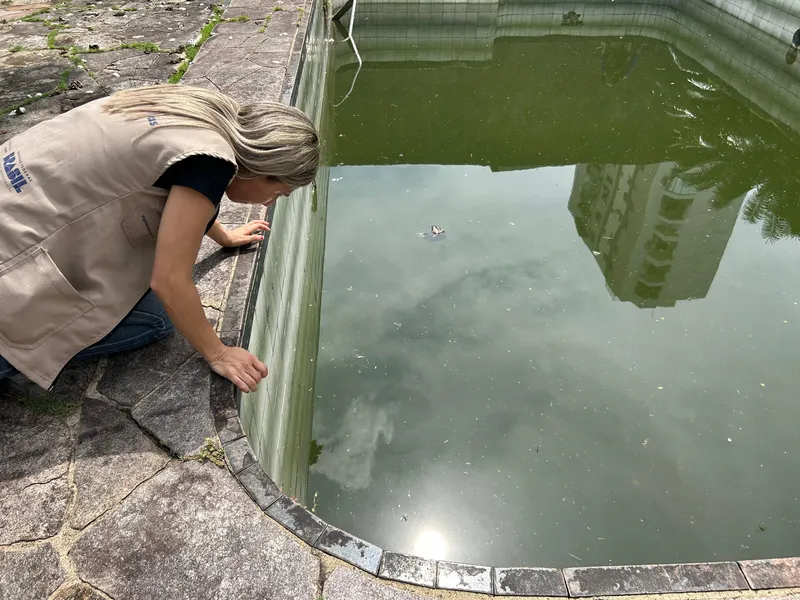 A coordenadora da equipe de endemias do Dasac, Lenize Costa, vistoria uma piscina durante inspeção no bairro da Pedreira.
