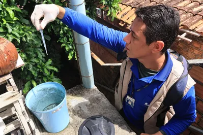 Belém registra 1.400% de redução de casos de dengue até 20 de janeiro