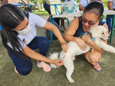 Belém avança nas ações de proteção e de saúde animal