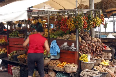 Após 20 anos, Secon retoma recadastramento de trabalhadores de feiras e mercados