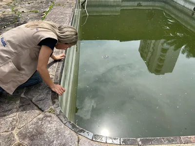 Sesma intensifica ações de combate ao mosquito da dengue em Belém